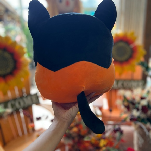 Pumpkin kitty - Picture 2 of 2